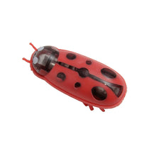 将图片加载到图库查看器，Interactive Mini Electric Bug Cat Toy – Battery Operated Flip Beetle
