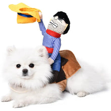 Load image into Gallery viewer, 1PCS Halloween Dagger Pet Transformation Dress Festival Funny Knife Holding Dog Clothes Cat Standing Dress Pet Dress Up
