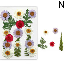 Load image into Gallery viewer, For Fun DIY Embossed Dried Flower Resin Fillings Real Flower for Home Decoration Nail Art Handicrafts Jewelry Making Crafts
