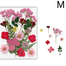 Load image into Gallery viewer, For Fun DIY Embossed Dried Flower Resin Fillings Real Flower for Home Decoration Nail Art Handicrafts Jewelry Making Crafts
