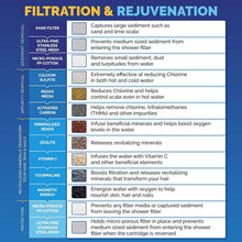 将图片加载到图库查看器，AquaBliss High Output Revitalizing Shower Filter
