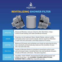 将图片加载到图库查看器，AquaBliss High Output Revitalizing Shower Filter
