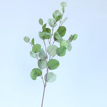 Load image into Gallery viewer, Artificial Eucalyptus Flower Plant Leaf Plastic Rod Long Branch Green Fake Plant Summer Autumn Home Bedroom Wall Decoration
