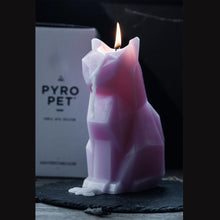 将图片加载到图库查看器，Black Cat Candle Cat Skeleton Candle Unveil Skeleton When Burning Cool And Unique Gifts For Animal Lovers Cat Gifts Cat Lovers Gift Pet Candle Handmade Candle Craft Candle With skeleton Christmas New Year Decoration Gift
