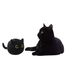 将图片加载到图库查看器，Black Cat Plush Toy

