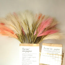 Load image into Gallery viewer, Bulrush Artificial Pampas Grass Phragmites 100cm Popular Natural Dried Small Pampas Grass For Wedding Flower Bunch Floor Vase Filler for Living Room Kitchen Decor

