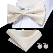 Load image into Gallery viewer, Business Red Color Butterfly Bow Tie Pocket Square Cufflinks Suit Set For Men Adjustable Self Bowtie Formal Bowtie Set Solid Color Necktie Silk Bow Tie Pocket Square Cuff Links
