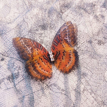 Load image into Gallery viewer, Butterfly Hair Clips for Girls Kids Glitter Barrette Wedding Hairpins Hair Accessories Styling Tools Butterfly Hair Clip For Women Hair Styling
