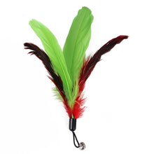 Load image into Gallery viewer, Cat Feather Toy Set Cat Feather Teaser Wand Toy for Kitten Cat Having Fun Exercise Playing Without the Stick Interactive Cat Feather Toys  Retractable Cat Wand Toy and Feathers Teaser Refills Cat Toys for Indoor
