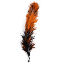 Load image into Gallery viewer, Cat Feather Toy Set Cat Feather Teaser Wand Toy for Kitten Cat Having Fun Exercise Playing Without the Stick Interactive Cat Feather Toys  Retractable Cat Wand Toy and Feathers Teaser Refills Cat Toys for Indoor
