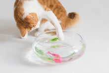Load image into Gallery viewer, Cat Interactive Electric Fish Toy Water Cat Toy for Indoor Play Swimming Robot Fish Toy for Cat and Dog with LED Light  Pet Toys New Bath Toys Interactive Plastic Fish Toys Electronic Cat Toy Gift to Stimulate Your Pet's Hunter Instincts
