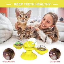 将图片加载到图库查看器，Cat Teases Interactive Pet Toy
