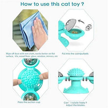 将图片加载到图库查看器，Cat Teases Interactive Pet Toy
