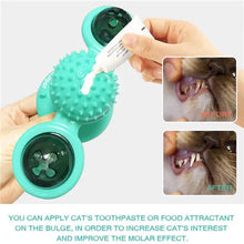 将图片加载到图库查看器，Cat Teases Interactive Pet Toy
