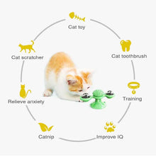 将图片加载到图库查看器，Cat Teases Interactive Pet Toy
