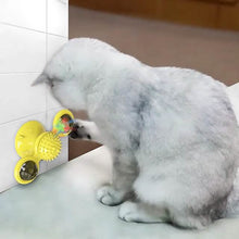 将图片加载到图库查看器，Cat Teases Interactive Pet Toy
