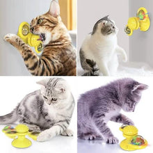 将图片加载到图库查看器，Cat Teases Interactive Pet Toy
