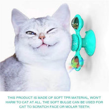 将图片加载到图库查看器，Cat Teases Interactive Pet Toy
