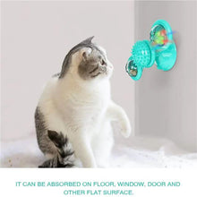 将图片加载到图库查看器，Cat Teases Interactive Pet Toy

