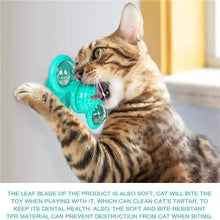 将图片加载到图库查看器，Cat Teases Interactive Pet Toy
