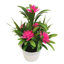 Load image into Gallery viewer, Creative Mini Artificial Fake Flower Potted Bonsai for Christmas New Year Wedding Party Garden Resturant Table Home Decor Mini Potted Plastic Succulents for Home Office Room Decor
