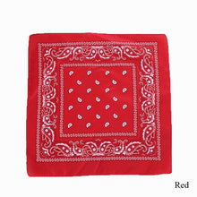 将图片加载到图库查看器，Cycling Mask Outdoor Sports Magic Head Scarf Printing Headband Bike Wrist Band Bandana for Windproof Sunscreen Bike Masks Bandanas Women Men Neck Gaiter Cover Turban Multipurpose Balaclava Elastic UV Face Shields for Women
