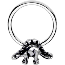 Load image into Gallery viewer, 16G 3/8 Splendid Stegosaurus BCR Captive Ring
