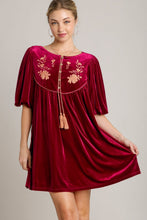 将图片加载到图库查看器，Embroidered Half Sleeve Velvet Mini Dress with Tassel For Women – Luxurious Velvet Dress, Embroidered Tassel Mini Dress, Elegant Party Dress
