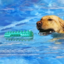 Load image into Gallery viewer, Dog Chew Toys Dog Toothbrush Stick
