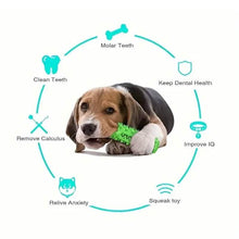 Load image into Gallery viewer, Dog Chew Toys Dog Toothbrush Stick
