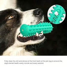 Load image into Gallery viewer, Dog Chew Toys Dog Toothbrush Stick
