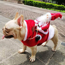 将图片加载到图库查看器，Dog Costume Christmas Pet Clothes
