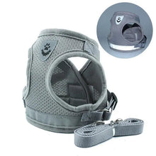 Load image into Gallery viewer, Dog Harness and Leash Set For  Small Medium Dogs Nylon Mesh Puppy Cat Harnesses Vest Reflective Walking Lead Leash Puppy Harness and Leash No Pull Adjustable Reflective Harness with Soft Mesh for Puppies and Small Dogs
