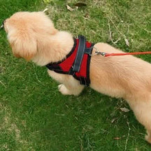 将图片加载到图库查看器，Dog Soft Adjustable Harness
