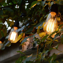 将图片加载到图库查看器，E27 Retro Edison Bulb AC 220V 110V 40W Dimmable Vintage Edison Light bulb ST64 G80 G95 T225 T300 Incandescent Lamp Edison Lamp Bravelight Antique Vintage Light Bulbs, T64 40W 2700K Warm Dimmable, Squirrel Cage Filament Edison Light Bulb for Table Lamp
