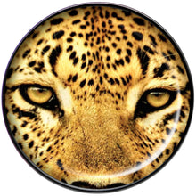 将图片加载到图库查看器，Full Color Leopard Eyes Black Barbell Tongue Ring
