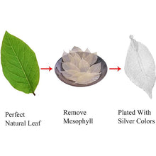 将图片加载到图库查看器，Filigree Long Leaf Dangle Earrings
