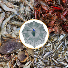 Load image into Gallery viewer, Foldable Fishing Bait Net Trap
