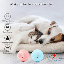 将图片加载到图库查看器，Found Notice Smart Interactive Cat Toy
