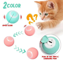 将图片加载到图库查看器，Found Notice Smart Interactive Cat Toy
