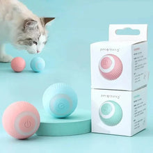 将图片加载到图库查看器，Found Notice Smart Interactive Cat Toy
