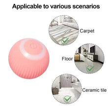 将图片加载到图库查看器，Found Notice Smart Interactive Cat Toy
