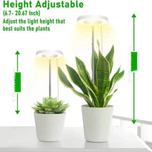 Load image into Gallery viewer, Full Spectrum LED Halo Plant Light With Stand Height Adjustable Auto Timer
