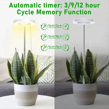 Load image into Gallery viewer, Full Spectrum LED Halo Plant Light With Stand Height Adjustable Auto Timer
