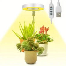 Load image into Gallery viewer, Full Spectrum LED Halo Plant Light With Stand Height Adjustable Auto Timer

