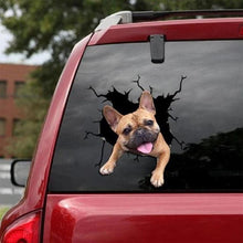 Load image into Gallery viewer, Funny Dog Head In The Crack Vinyl Car Funny Dog Head In The Crack Vinyl Car Stickers Decals Motorcycle Accessories Car-window Decorative Goods Broken Glass Sticker Car Stickers Decals Motorcycle Accessories Car-window Decorative Goods Pvc Car Sticker
