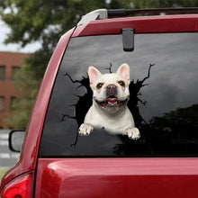 Load image into Gallery viewer, Funny Dog Head In The Crack Vinyl Car Funny Dog Head In The Crack Vinyl Car Stickers Decals Motorcycle Accessories Car-window Decorative Goods Broken Glass Sticker Car Stickers Decals Motorcycle Accessories Car-window Decorative Goods Pvc Car Sticker
