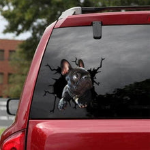 Load image into Gallery viewer, Funny Dog Head In The Crack Vinyl Car Funny Dog Head In The Crack Vinyl Car Stickers Decals Motorcycle Accessories Car-window Decorative Goods Broken Glass Sticker Car Stickers Decals Motorcycle Accessories Car-window Decorative Goods Pvc Car Sticker
