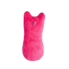 Load image into Gallery viewer, Funny Interactive Pets Chew Bite Supplies for Cat Teeth Grinding Catnip Toys Funny Plush Cat Toy Pet Kitten Chewing Vocal Toy Claws Thumb Bite Cat mint For Cats
