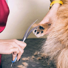 Load image into Gallery viewer, Gimars 6-in-1 Professional Stainless Steel Safety Pet Grooming Scissors
